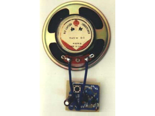 (imagem para) B146 Kit Electronic melody "Coo Coo Waltz"